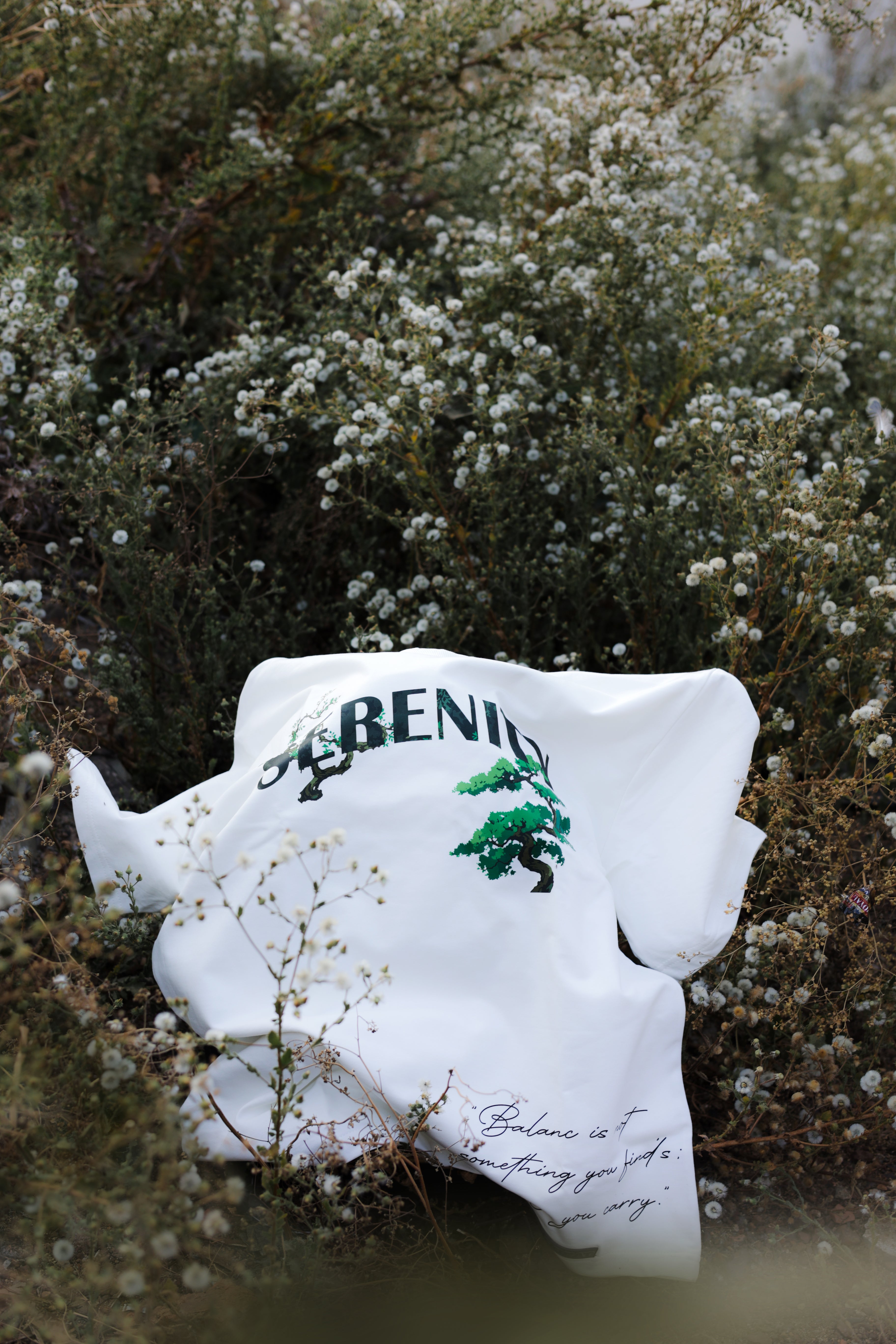 DB Serenity